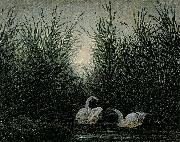 Caspar David Friedrich Schwaene im Schilf china oil painting reproduction